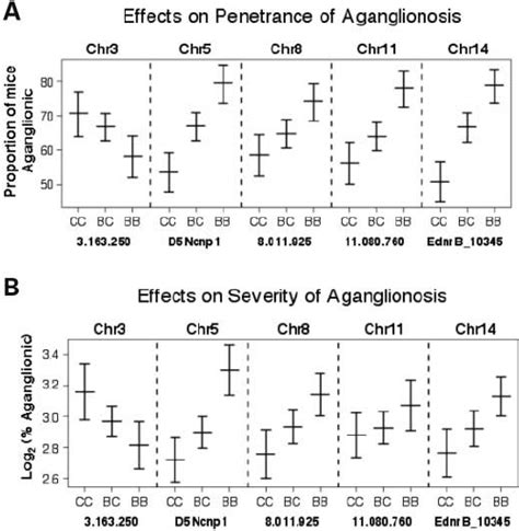 Effect Of Alleles At Sox10 Dom Modifier Loci On The Penetrance And