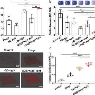 In Vitro Antibiofilm Activity Of Qd Phage A The Biofilm Bactericidal