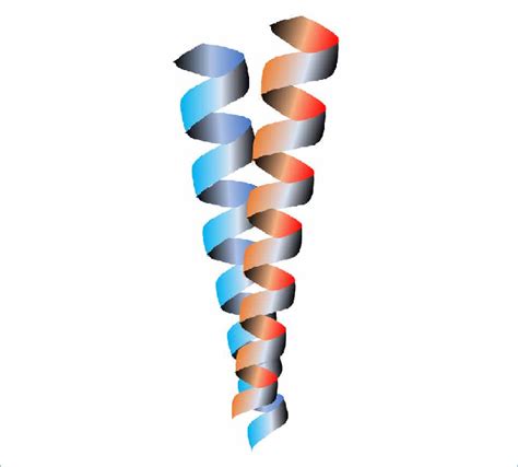 The α helical coiled coil motif consists of two or more intertwined