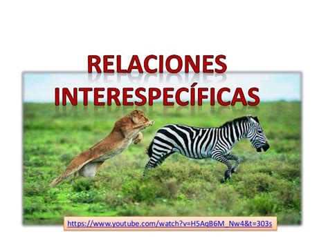 Relaciones Interespecíficas