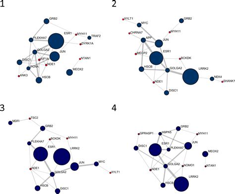 Frontiers Gene Set Enrichment Analysis Of Interaction Networks Weighted By Node Centrality