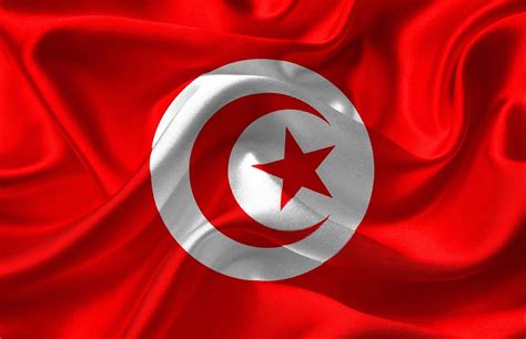 20,000+ Free Turkey Flag & Turkey Images - Pixabay