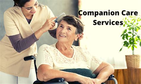 Basic Companion Care Services That Must Include In Your Program