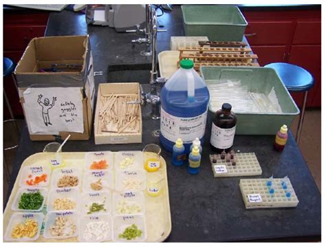 Food Lab Testing For Macromolecules In Our Food Biology Classroom