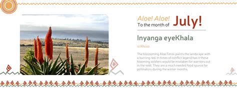 Ivanya Yethu Xhosa Calendar Social Media Graphics Behance