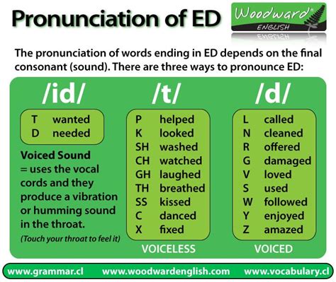 Pronunciation Of Words Ending In Ed In English There Is A Newer