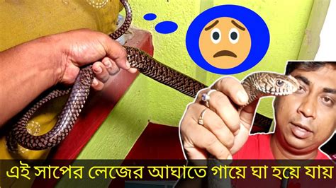 সাপ । বসত বাড়িতে বিশাল বড় সাপ দেখে ভয়ে শিউরে উঠল গোটা পরিবার