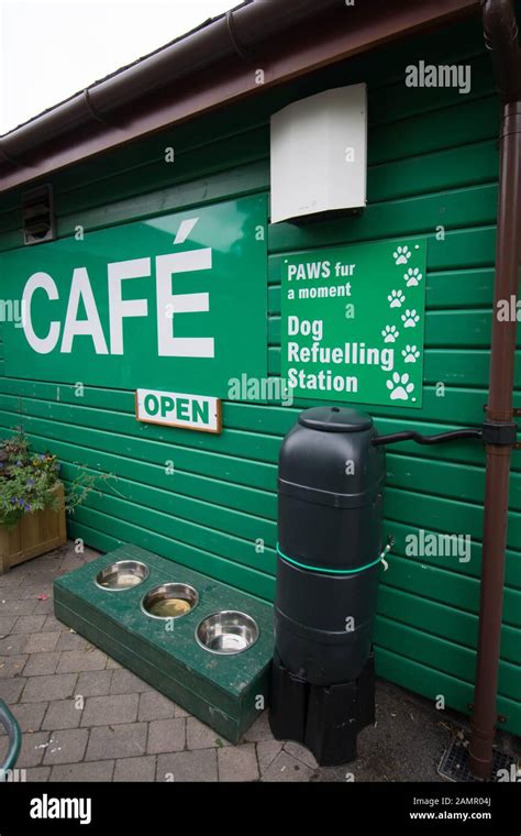 Dog friendly cafe Keswick the Lake District UK Stock Photo - Alamy