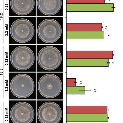 Figure S8. Growth assay on minimal medium supplemented with callose ...