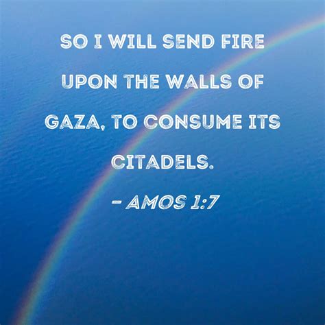 Amos Bible