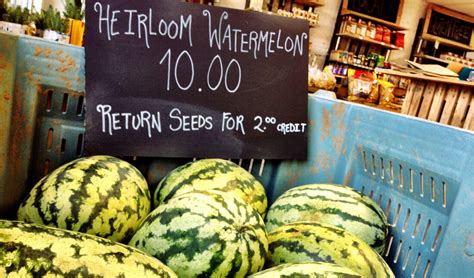 Heirloom Watermelon Varieties – Mother Earth News