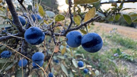 Mier W Bikini Republika Czy Kasia Lins Kto Zrobi To Lepiej