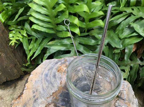 Personalized Eco Friendly Stainless Steel Straw Set With Pouch Etsy