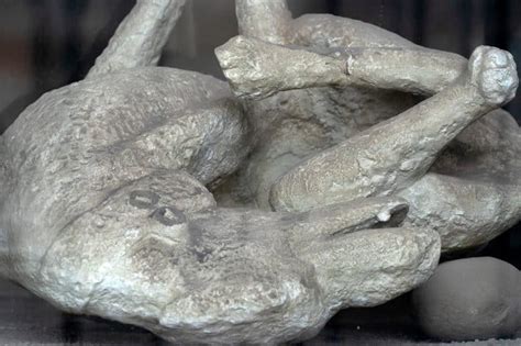 12 Amazing Facts About the Preserved Pompeii Bodies