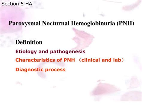 PPT Paroxysmal Nocturnal Hemoglobinuria PNH PowerPoint Presentation