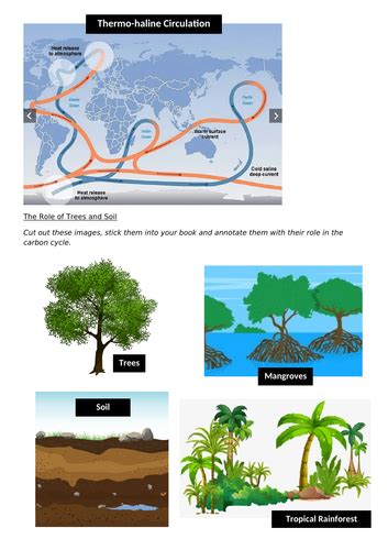 4 5 Carbon Sequestration The Carbon Cycle And Energy Security