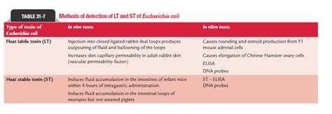 Laboratory Diagnosis Of Escherichia Coli Infections