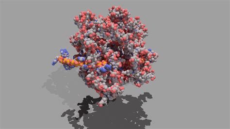 Crows and Cats: DNA-Polymer Nanoparticle