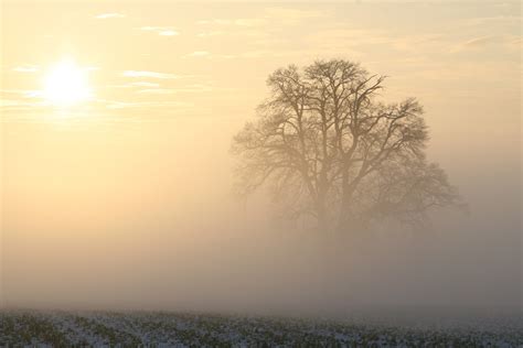 Free Images Landscape Tree Nature Horizon Cold Winter Cloud