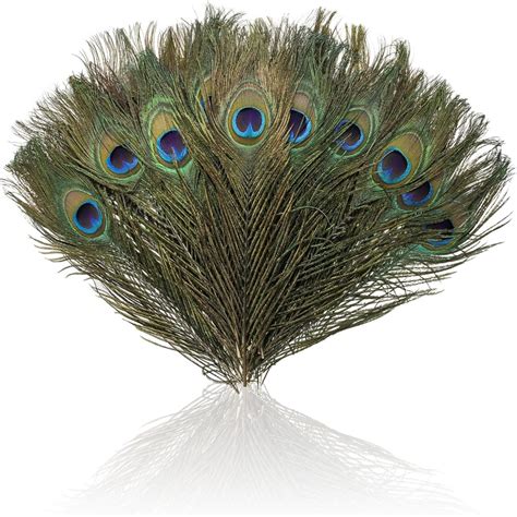 50Pcs As Shown In The Picture Real Peacock Feathers Peacock Feathers