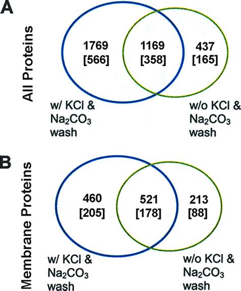 Venn Diagrams Showing The Number Of Proteins Identified By Mascot Download Scientific Diagram