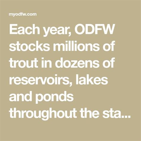 The Words Each Year Odw Stocks Millions Of Trusts In Dozens Lakes And