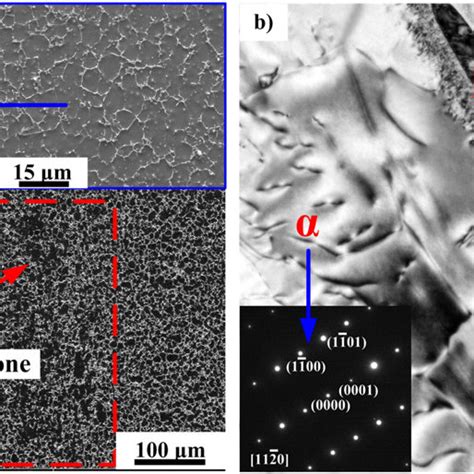 Tem Micrographs Showing The Dislocation Patterns A Dislocation