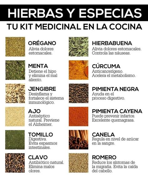 8 Especias Medicinales Que Fortalecen Tu Salud Nutrición Y Salud Yg Hierbas Y Especias