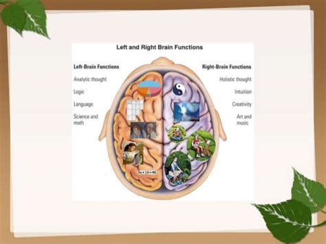 Brain lateralization