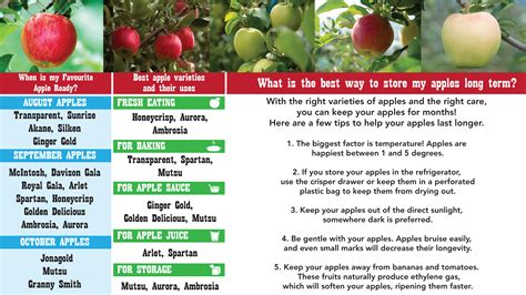 Apple Varieties — Davison Orchards