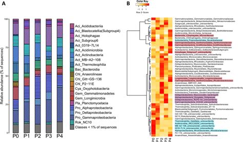 The Bacterial Taxonomic Composition Visual Representation Of The