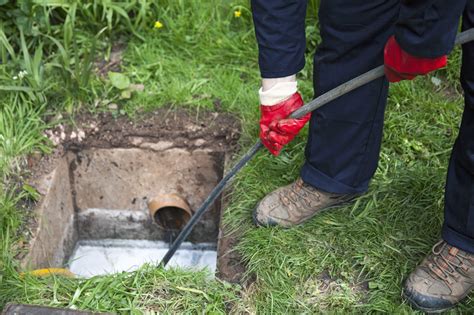 How To Deal With Sewage In The Yard Gold Coast Plumbing Company