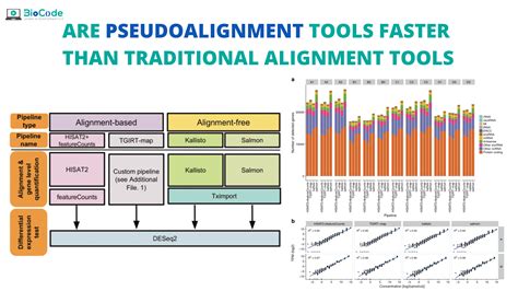 Are Pseudoalignment Tools Faster than Traditional Alignment Tools