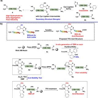 A Synthetic Plan For With Cys Ligation Intermediate B Synthetic