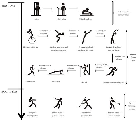 Anthropometric Measurements Physical Fitness Performance And Specific