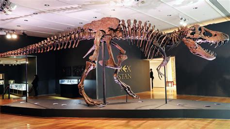 T-Rex Skeleton Fetches Over $40 Million AUD At Auction | lifewithoutandy