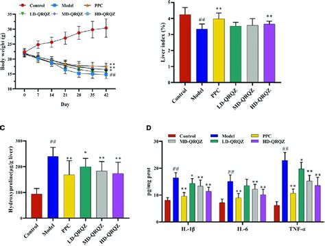 Qrqz Alleviated Liver Injury And Inflammation In Mcd Induced Nash Mice