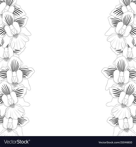 Vanda miss joaquim orchid outline border Vector Image