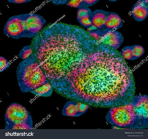 Smallpox Virus Under Microscope There Many Stock Illustration ...