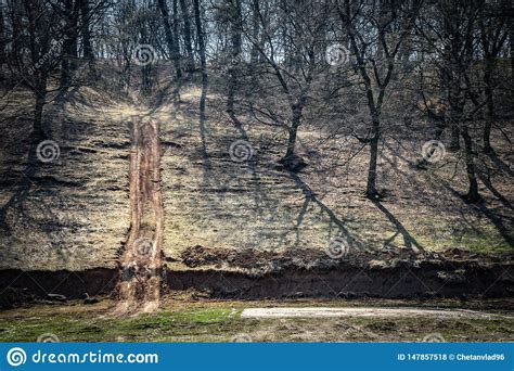 Hoia Baciu Sp Kad Skog Rum Nien Arkivfoto Bild Av Mystiskt