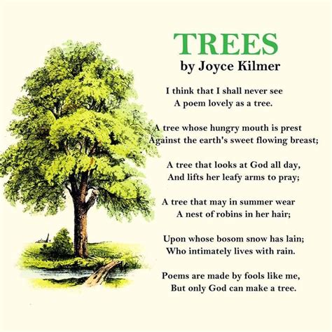 learned   trees wisdom resilience   beauty  nature