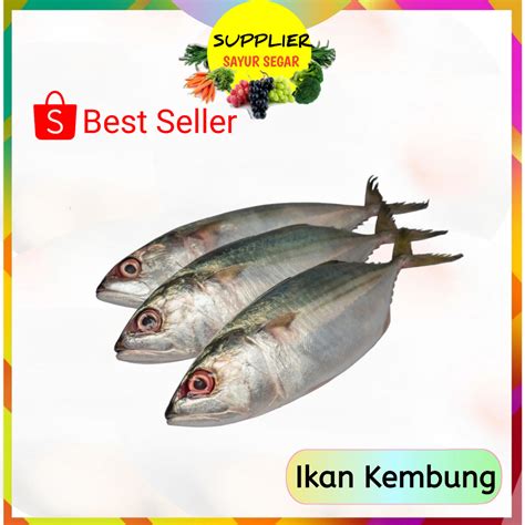 Jual Ikan Kembung 1 Kg Segar Palembang Shopee Indonesia