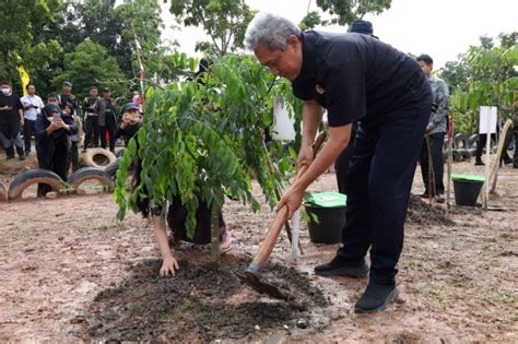 Isi Pergantian Tahun Klhk Gelar Gerakan Tanam Pohon Serentak Seluruh