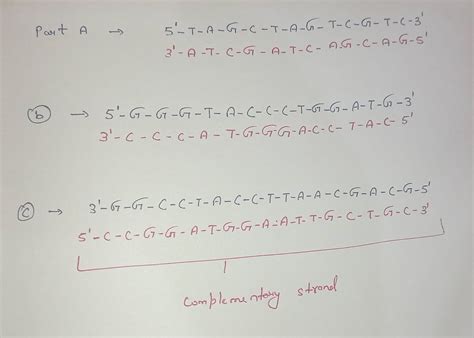 Solved Write The Complementary Base Sequence For Each Of The