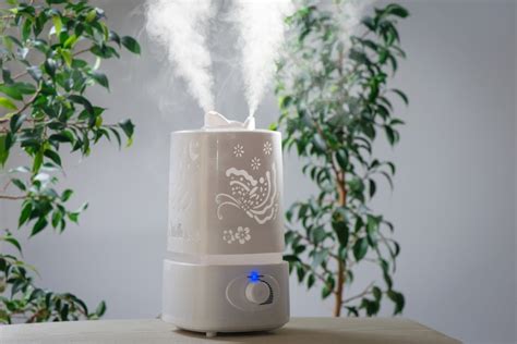 12 Different Types of Air Fresheners for Homes