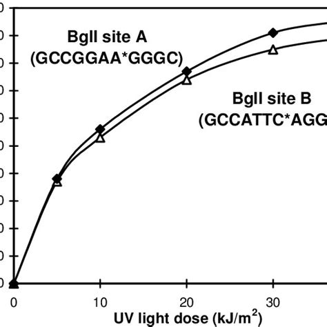 Dose Dependence Of Cleavage Of Uv Light Damaged Dna By Neoschizomer