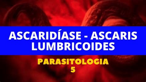 Tudo sobre Ascaridíase e o Parasito Ascaris lumbricoides Parasitologia 5