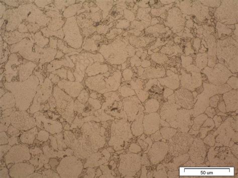 Microstructure of the: a) AISI 316L austenitic stainless steel and ...