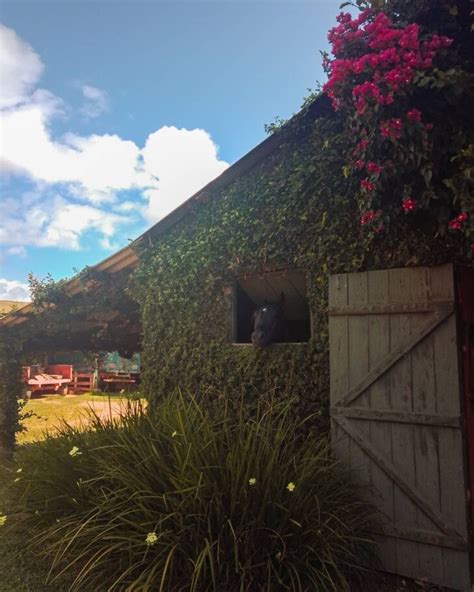 Arroio Dos Ratos Onde Fica Passeios Hospedagens Fotos E V Deos