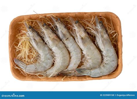 Raw Whiteleg Shrimp Pacific White Shrimp Litopenaeus Vannamei Stock